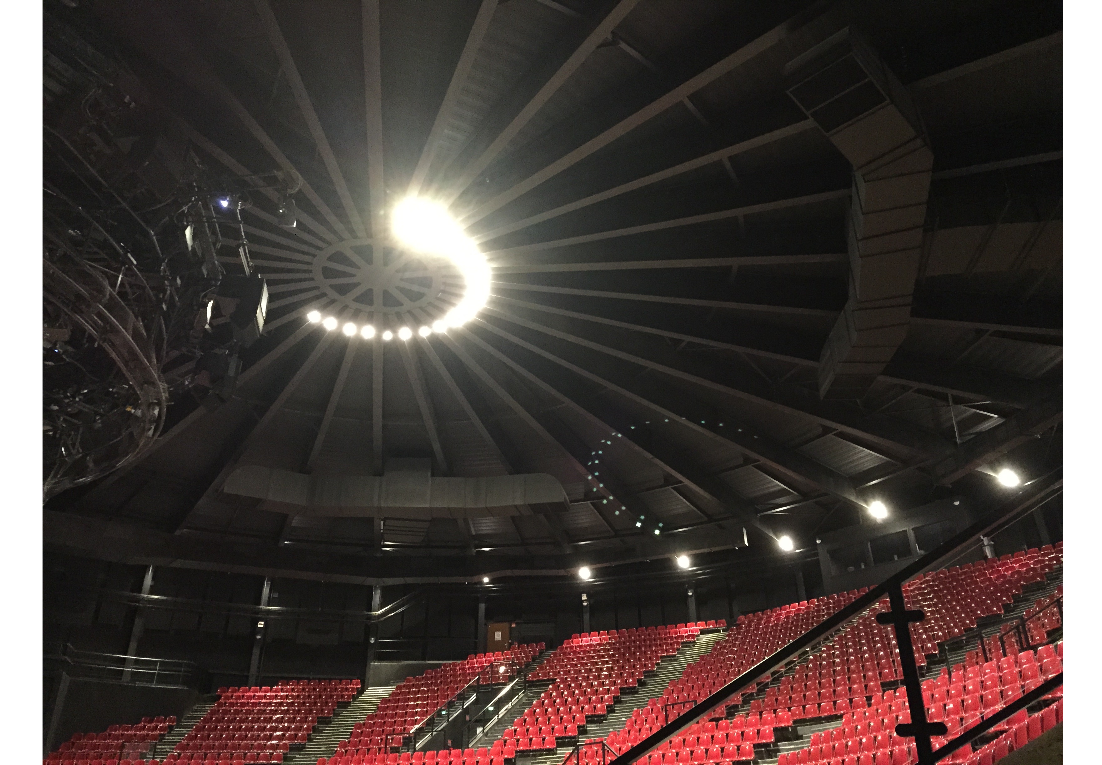 TIGER WORD Zoo Amn&eacute;ville