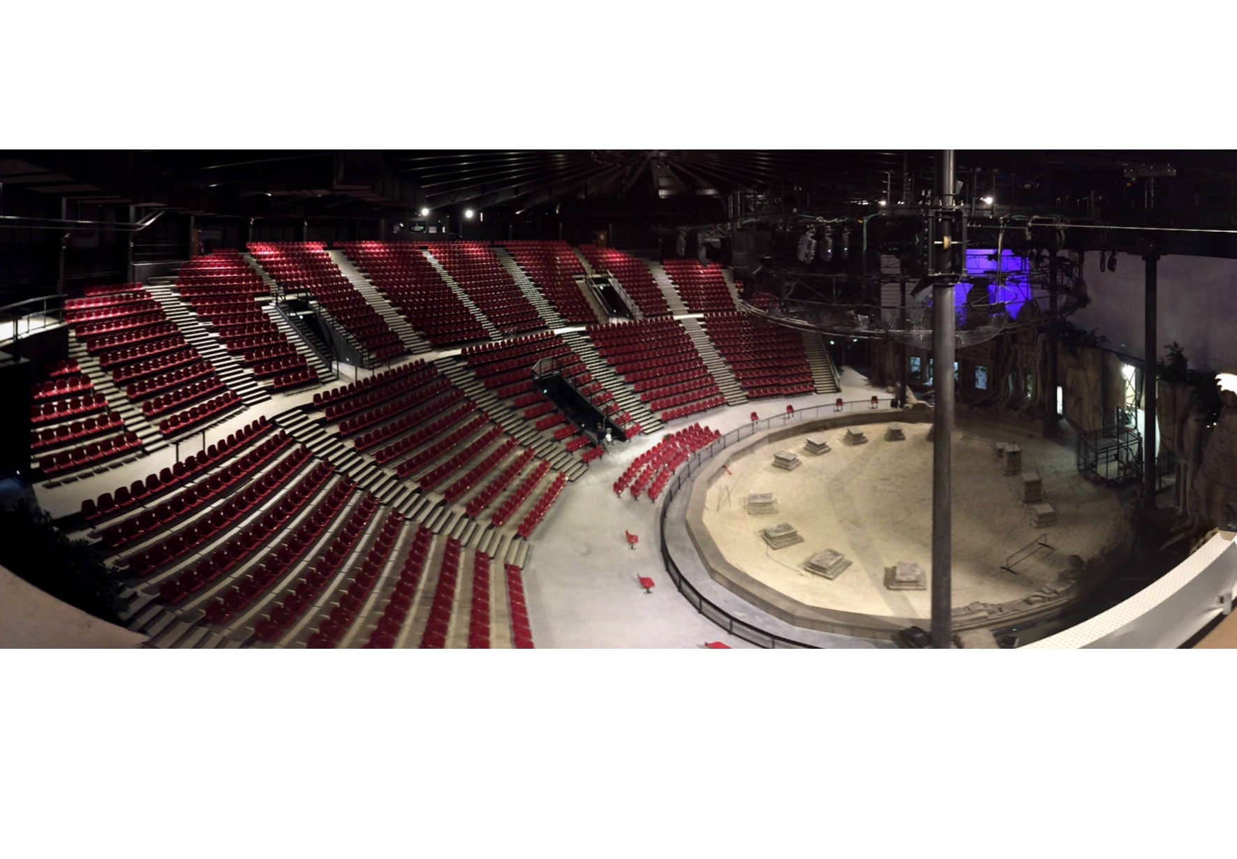 TIGER WORD Zoo Amn&eacute;ville