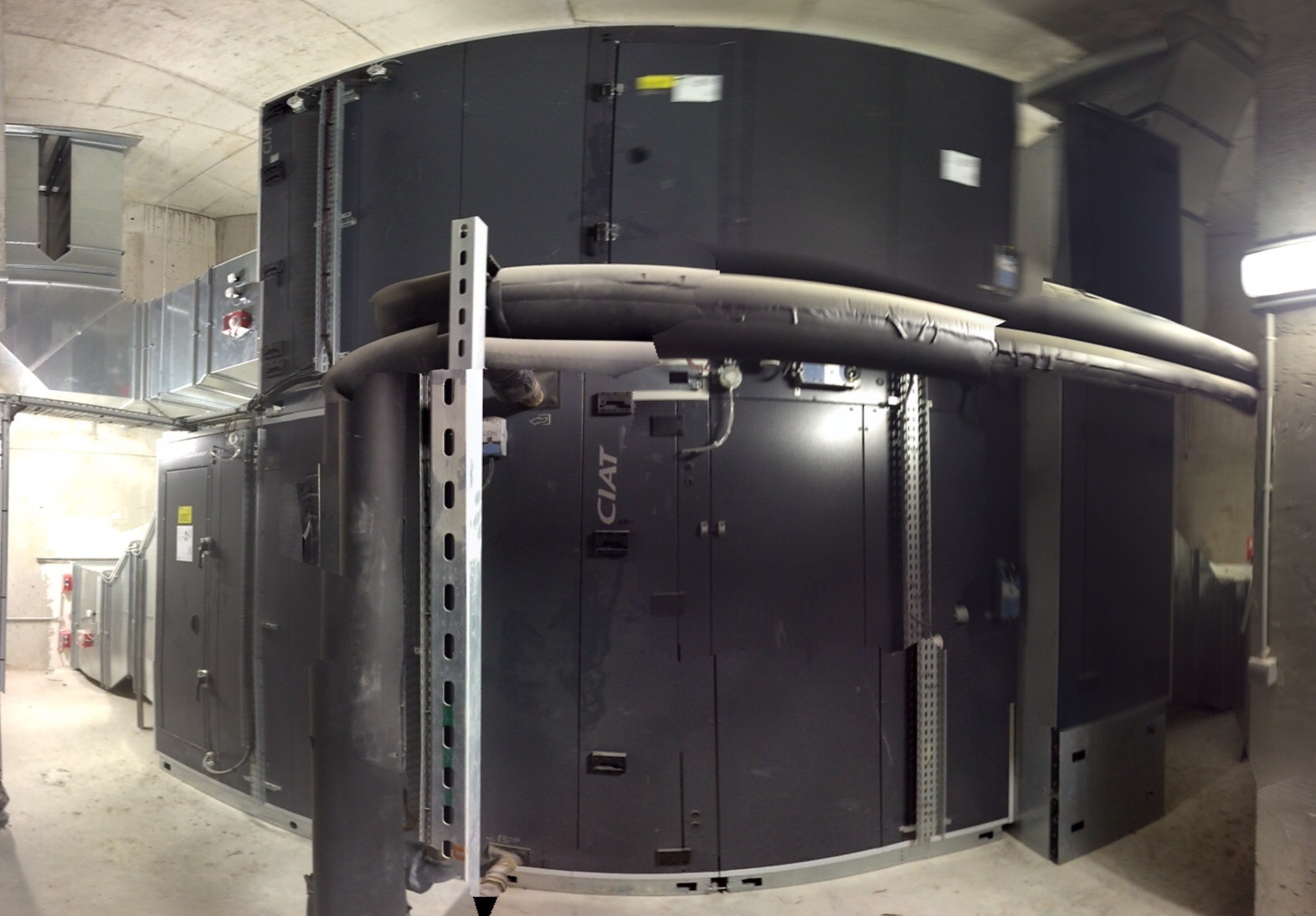 TIGER WORD Zoo Amn&eacute;ville